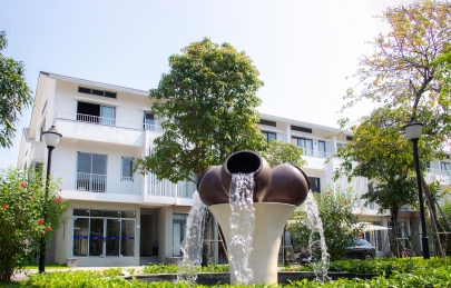 Dahlia giữa những ngày Nắng đẹp